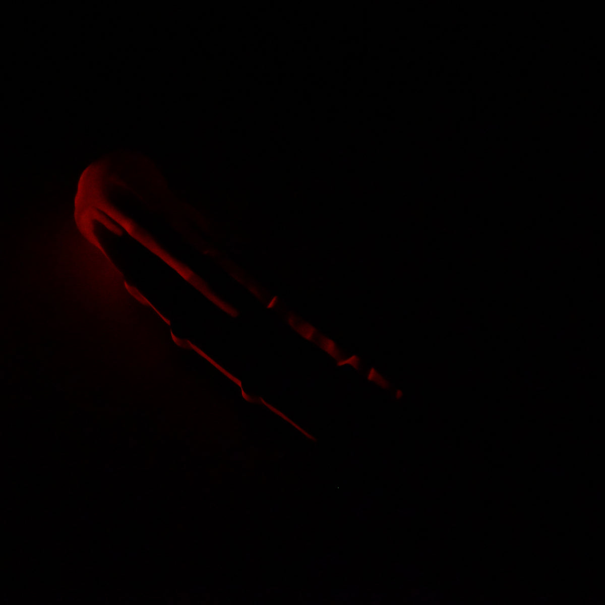 44SKN55 Helhestr Large 0030 UV GITD CS