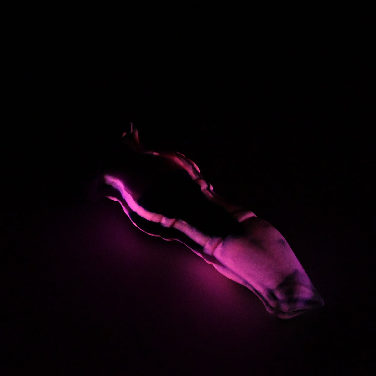 H1MKP21 Hellion XS 0050 UV GITD CS