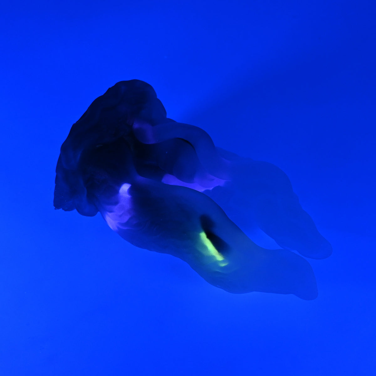 A3TKN00 Alara Medium NC 0031 UV GITD CS