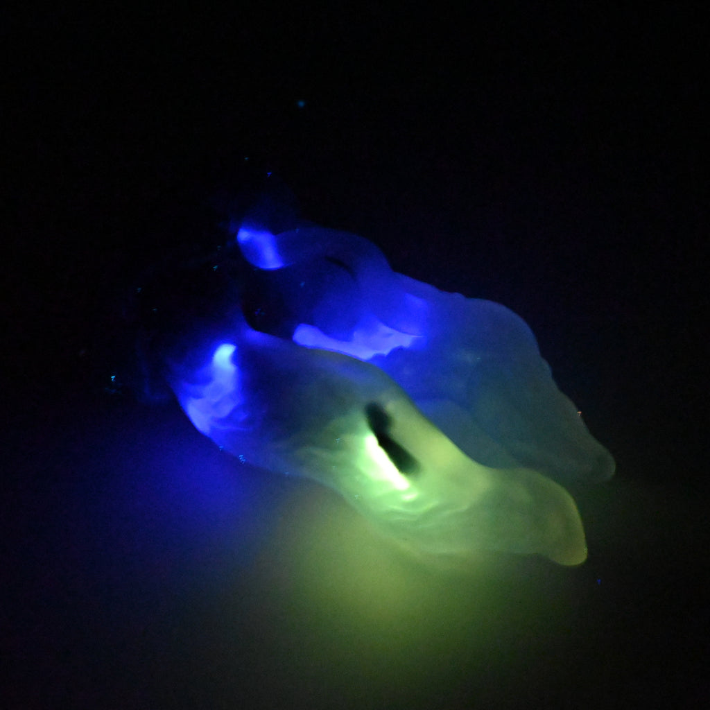 A3TKN00 Alara Medium NC 0031 UV GITD CS