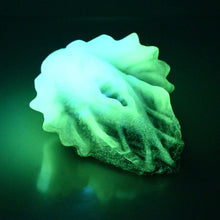 Load image into Gallery viewer, C2XEH82 Calypso Small 0020 UV GITD
