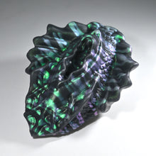 Load image into Gallery viewer, C2MEH81 Calypso Small 0050 CS
