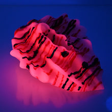 Load image into Gallery viewer, C4SEH87 Calypso Large 0030 UV GITD
