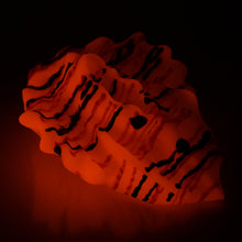 Load image into Gallery viewer, C4SEH87 Calypso Large 0030 UV GITD
