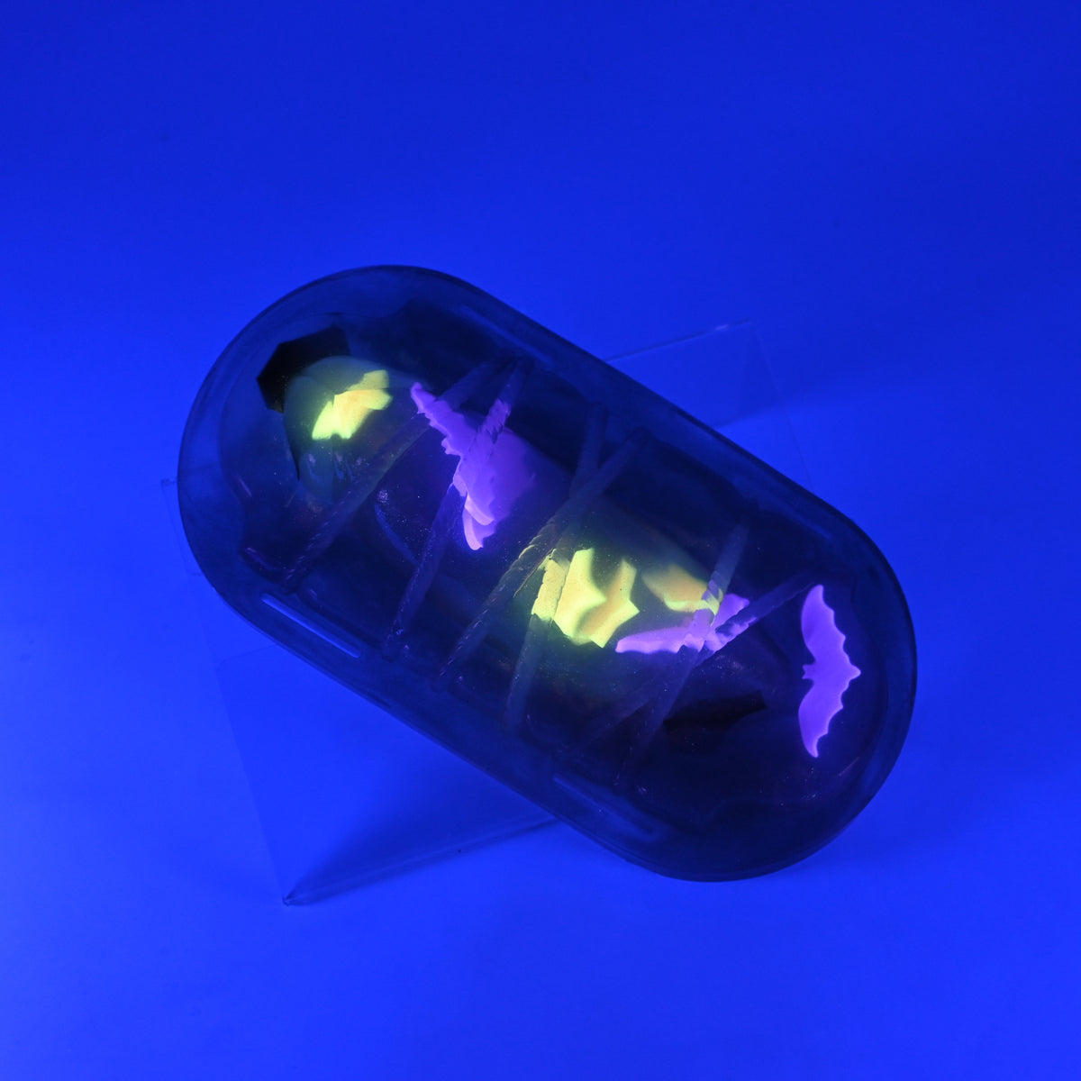 KYTKP41 Kyno NC 0031 UV GITD CS