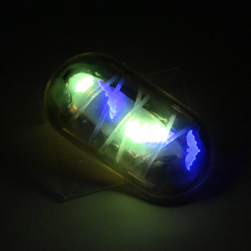 KYTKP41 Kyno NC 0031 UV GITD CS