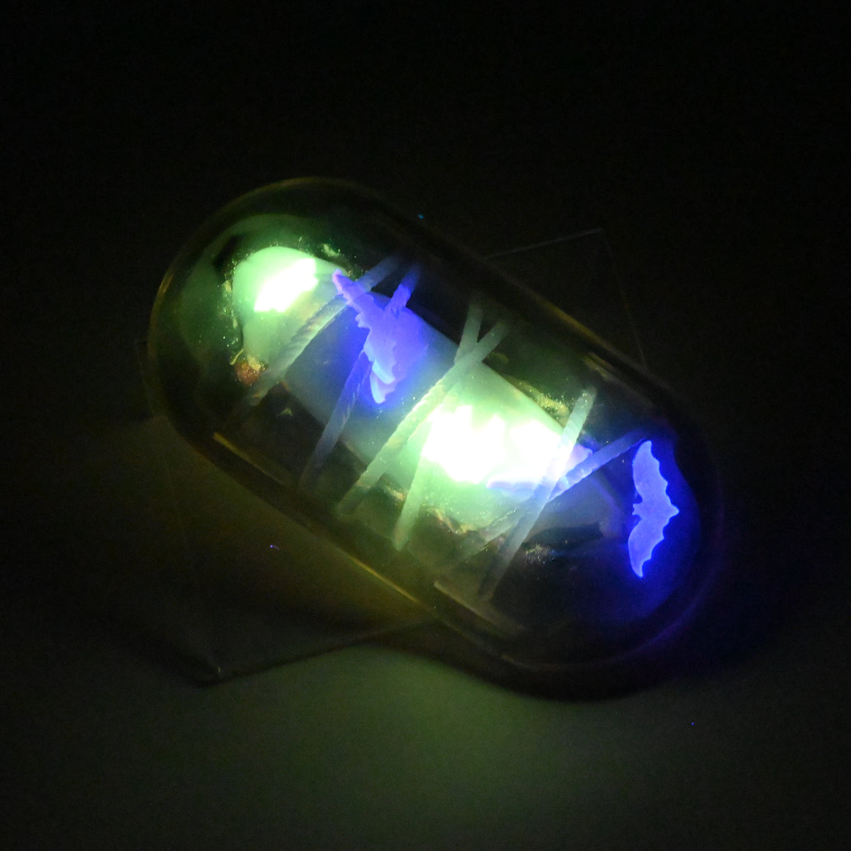 KYTKP41 Kyno NC 0031 UV GITD CS