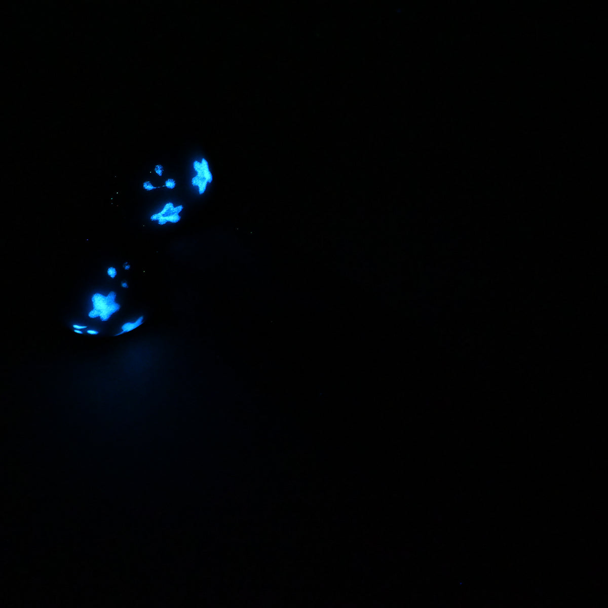 W2SKS01 Tellus Small 0030 UV GITD CS