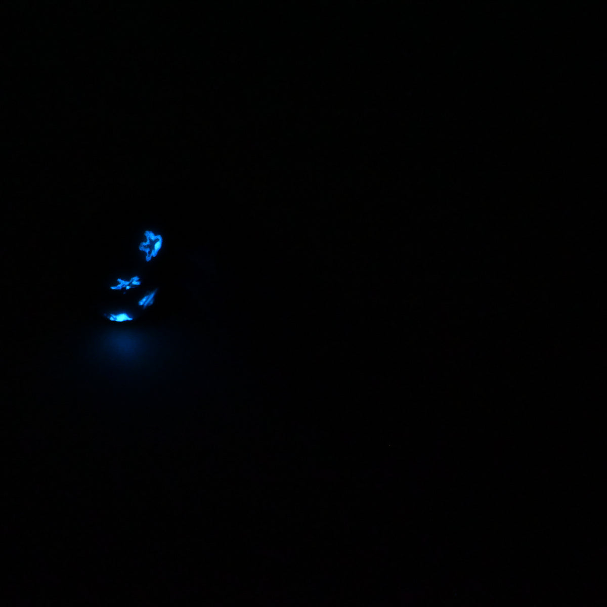R2SKR76 Orion Small 0030 UV GITD CS