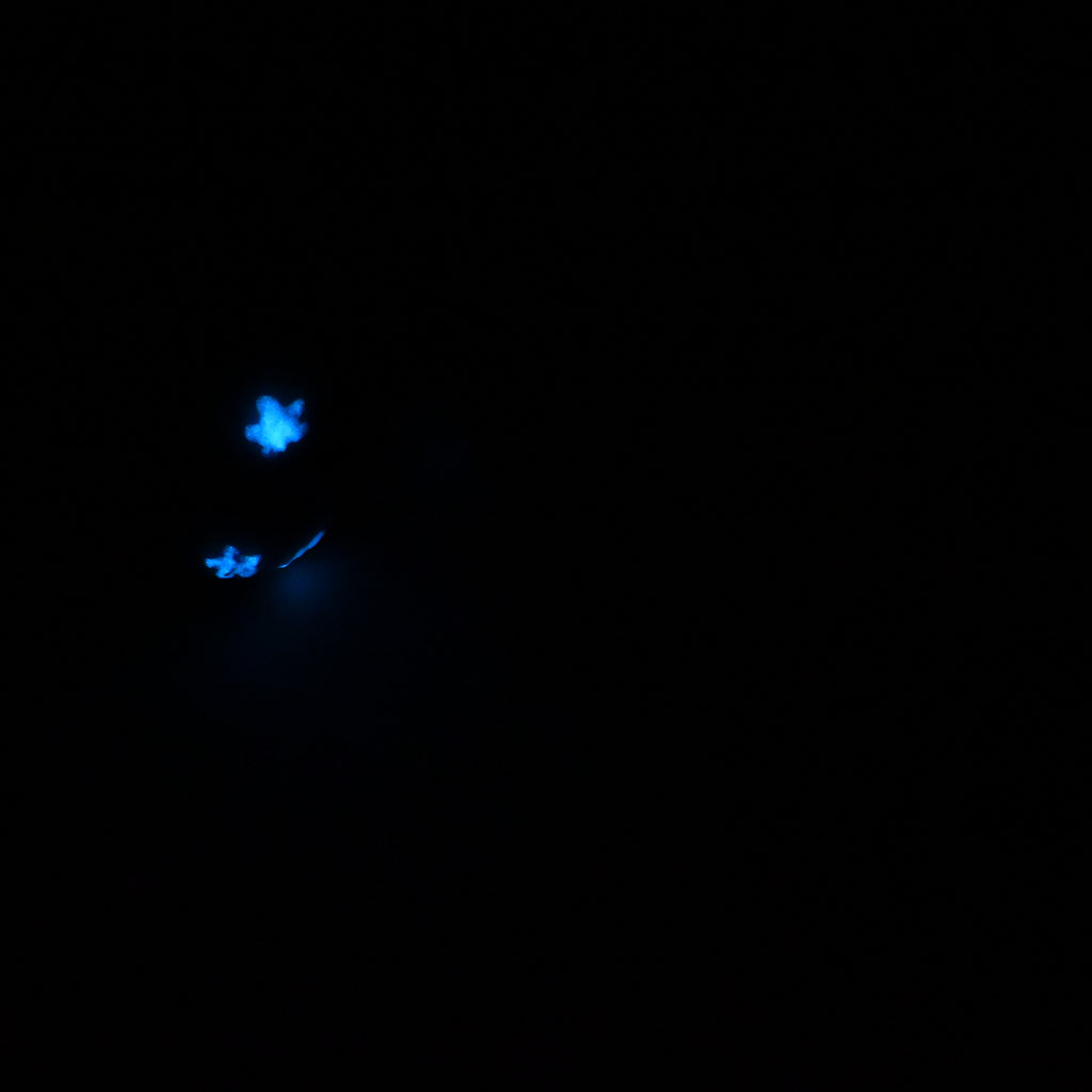 92SKQ95 Kronos Small 0030 UV GITD CS