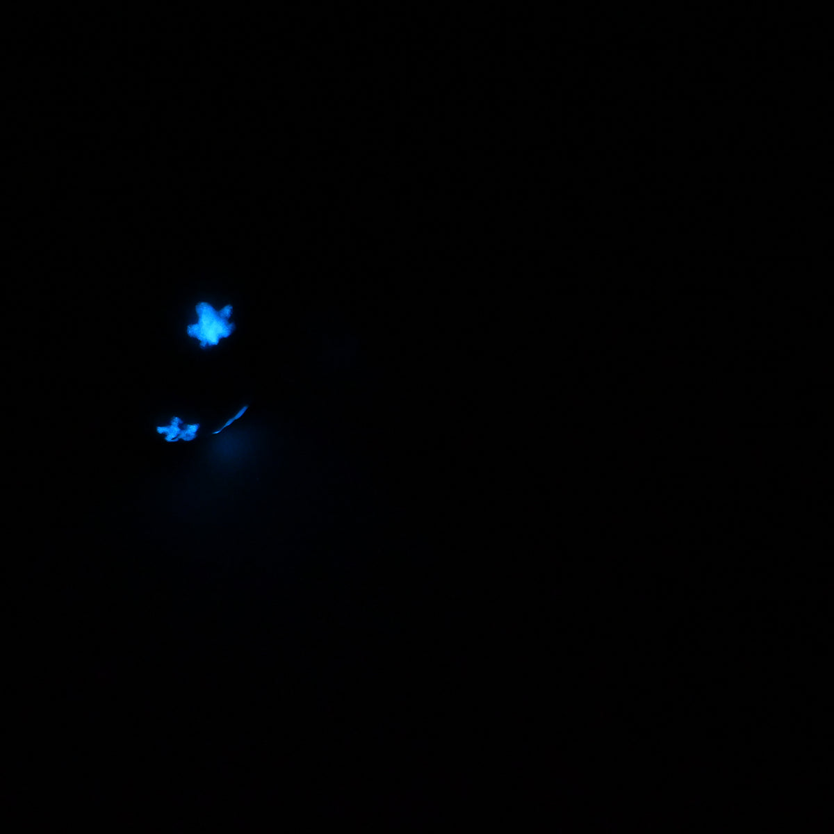 92SKQ95 Kronos Small 0030 UV GITD CS