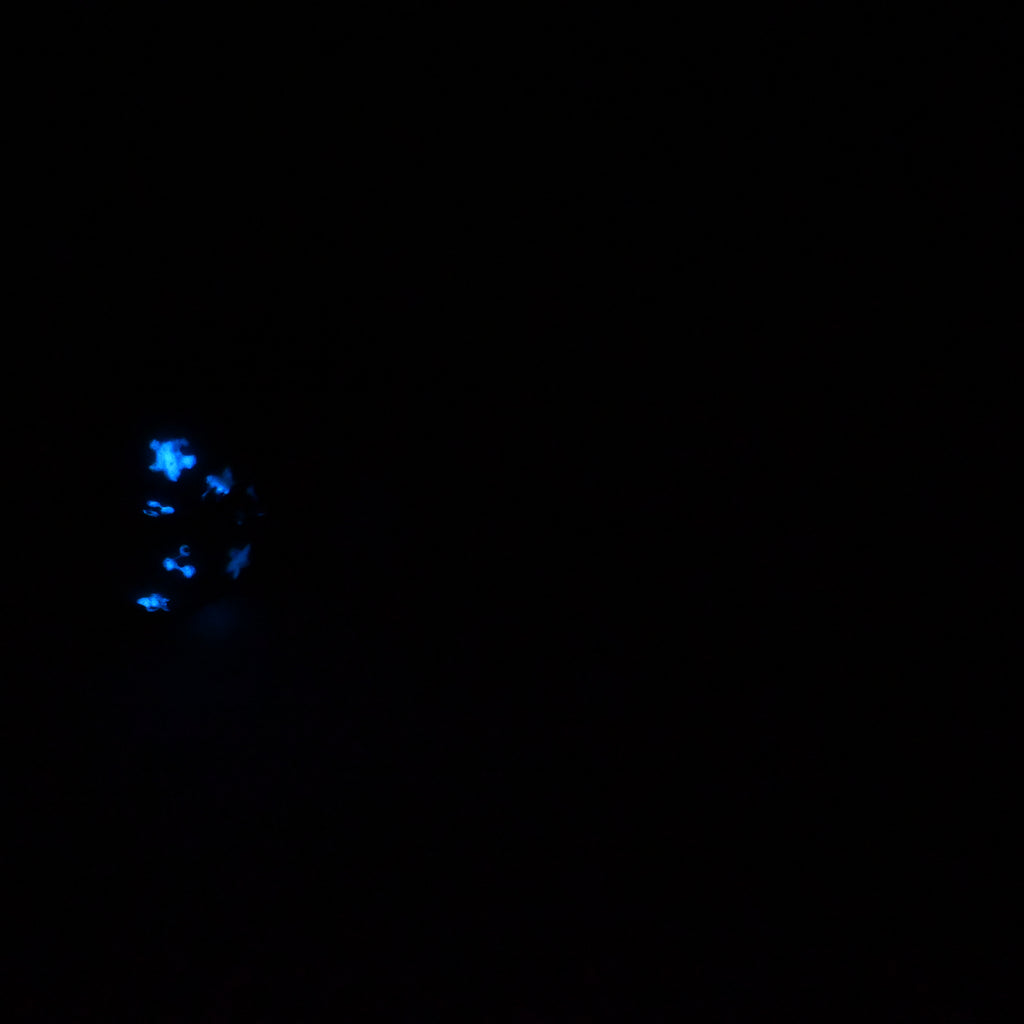 94SKR02 Kronos Large 0030 UV GITD CS