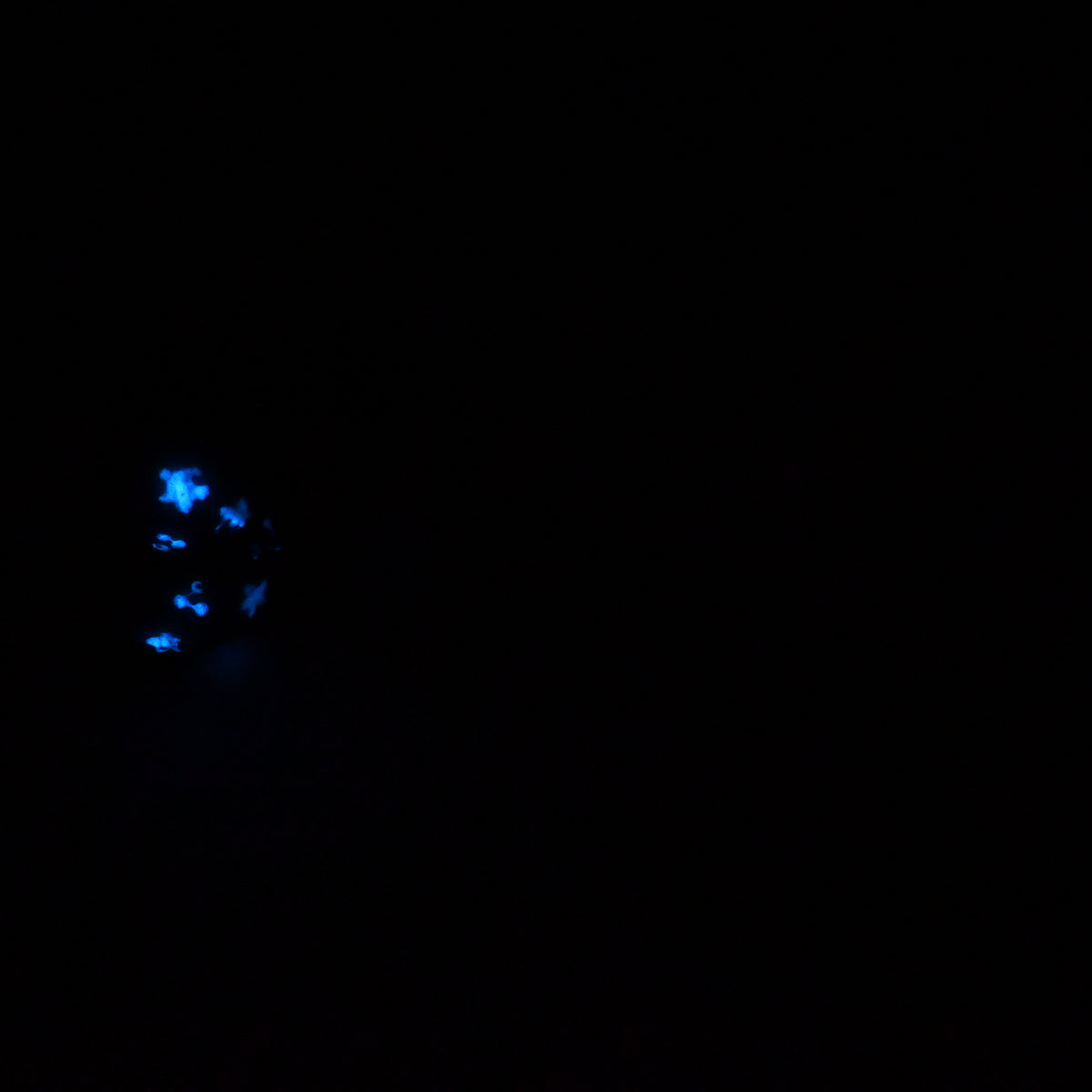 94SKR02 Kronos Large 0030 UV GITD CS