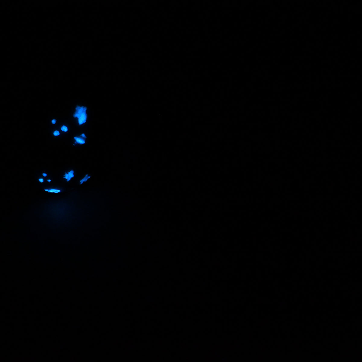 95SKR03 Kronos XL 0030 UV GITD CS