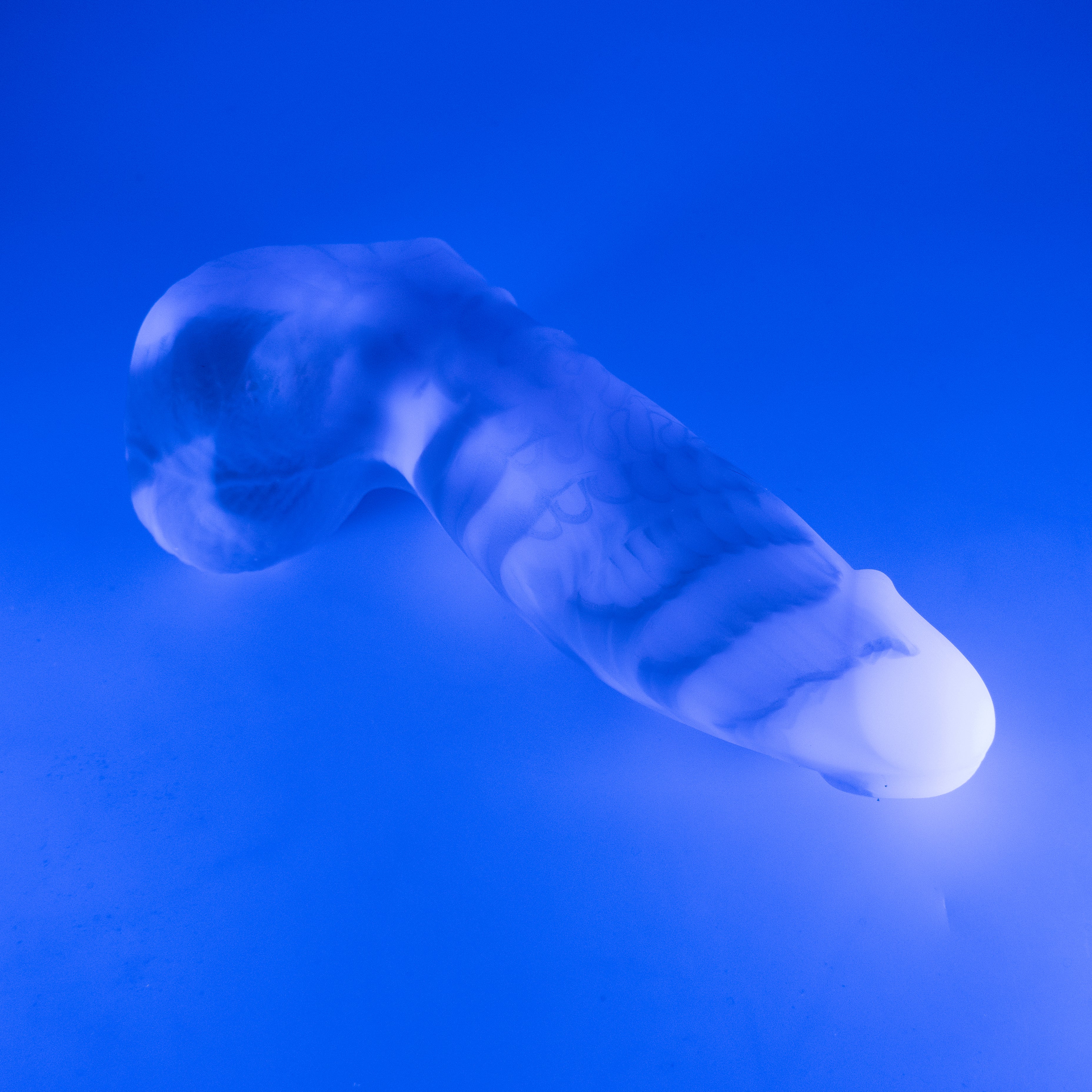 94MJP58 Kronos Large 0050 UV CS *FLOP*