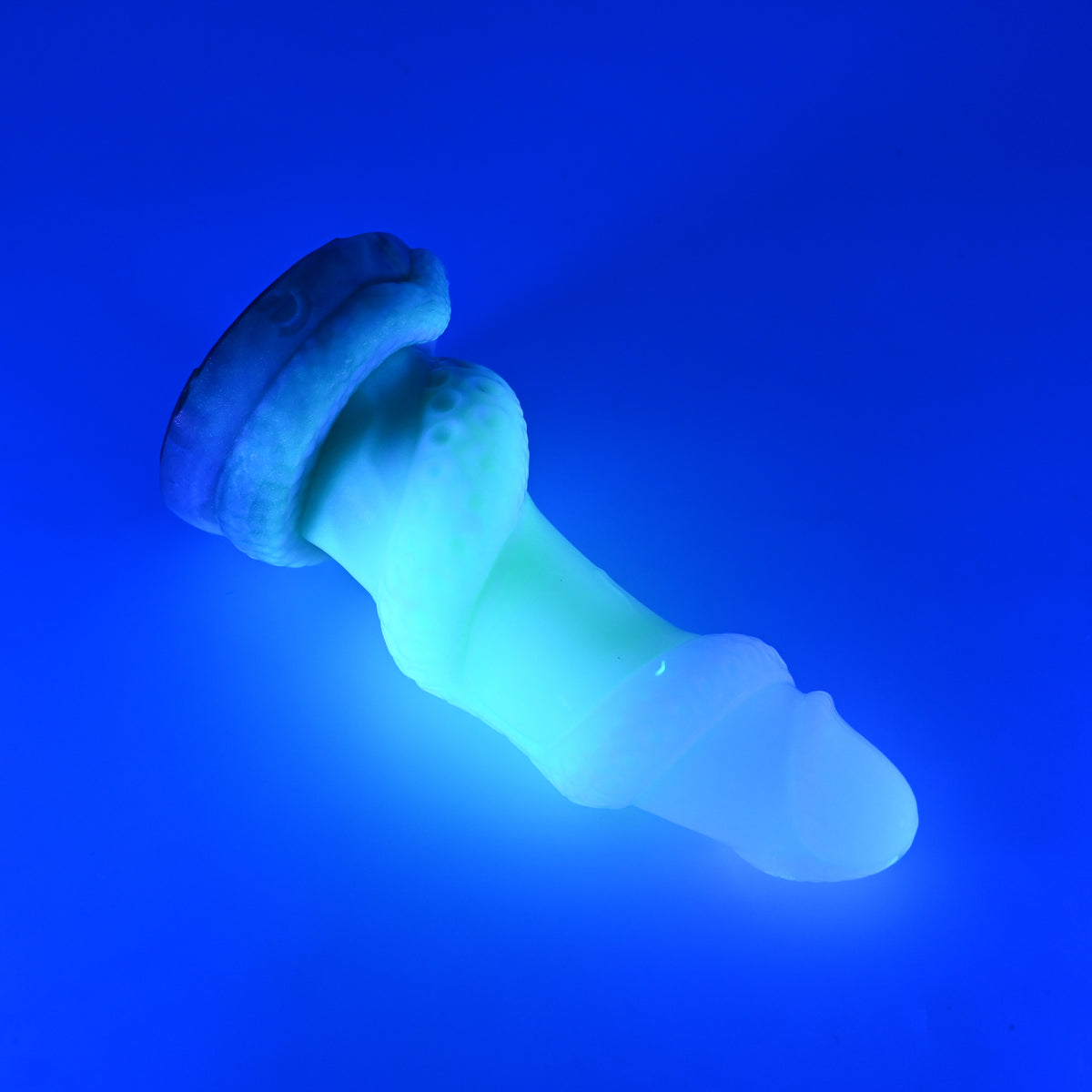 33SKQ50 Celia Medium 0030 UV GITD