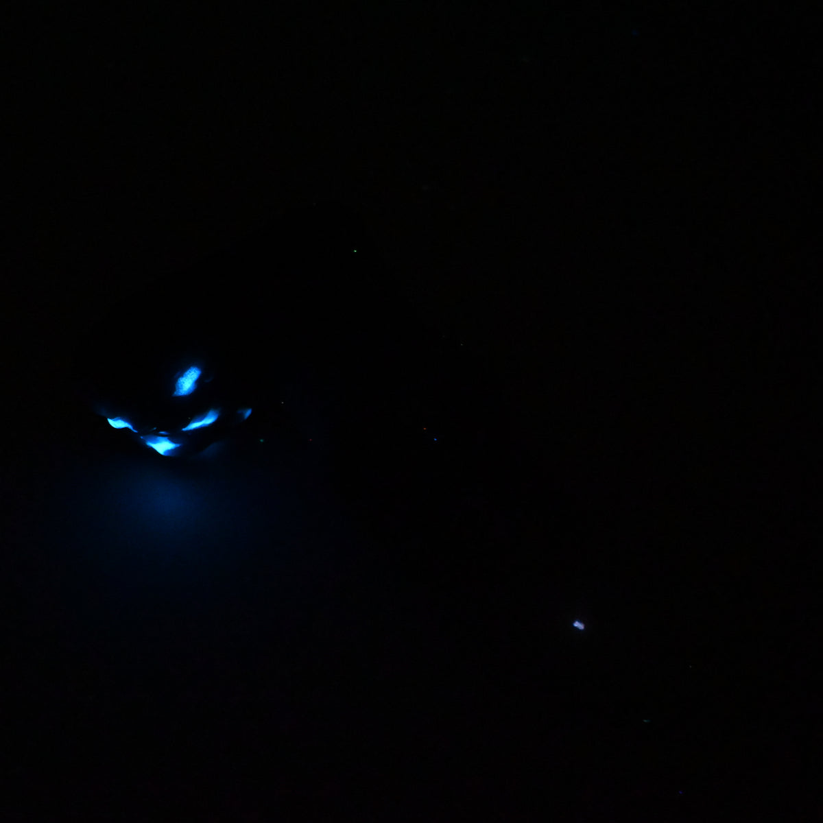 52SKQ72 Jacob Small 0030 UV GITD CS