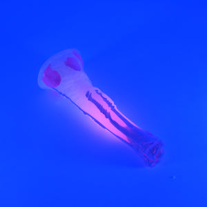 U2SHM99 Cirrus Small 0030 UV GITD