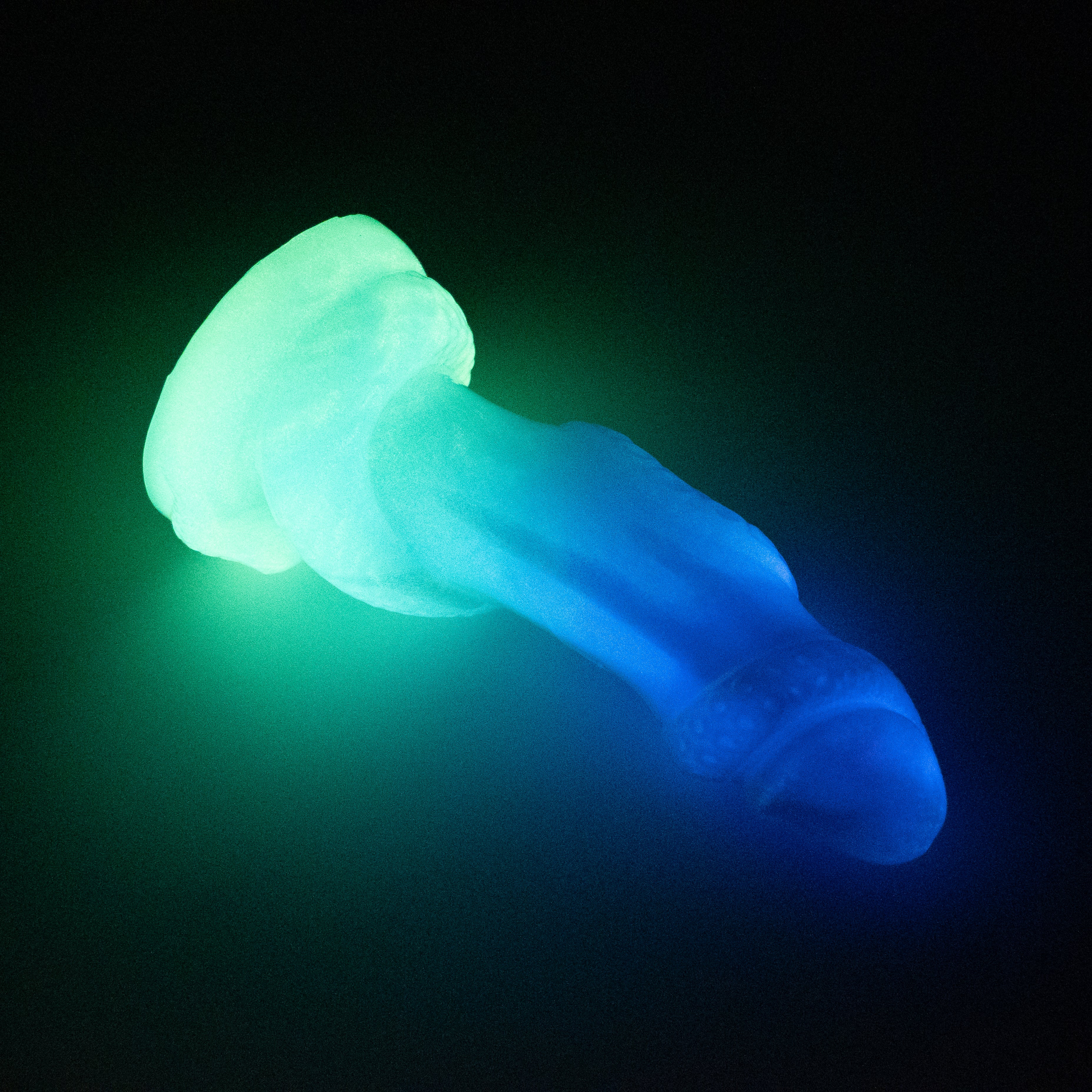 33SJP21 Celia Medium 0030 UV GITD CS