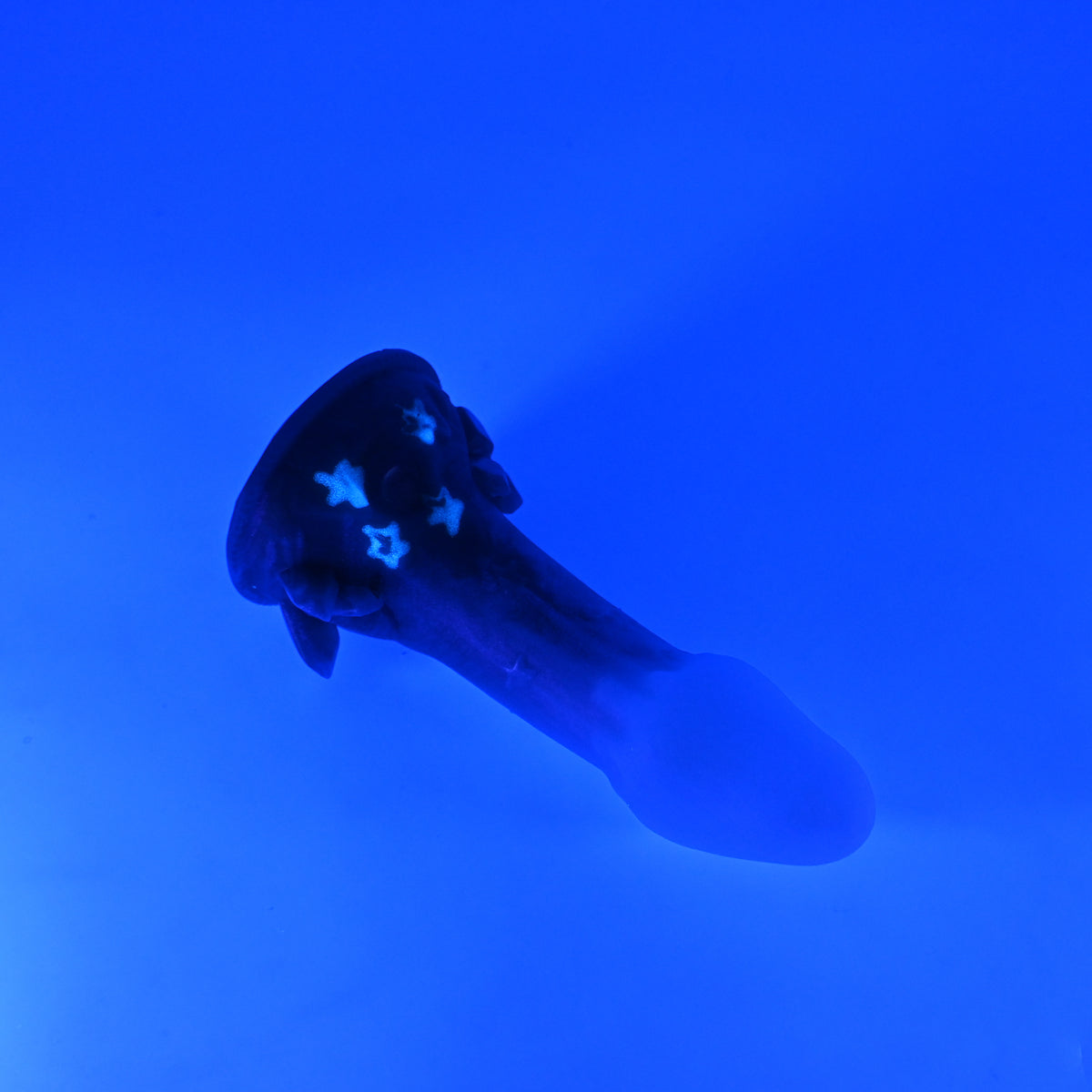 V2SKR97 Vaeriya Small 0030 UV GITD CS