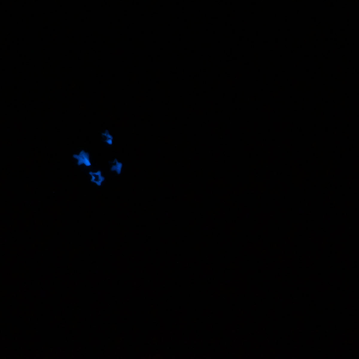 V2SKR97 Vaeriya Small 0030 UV GITD CS