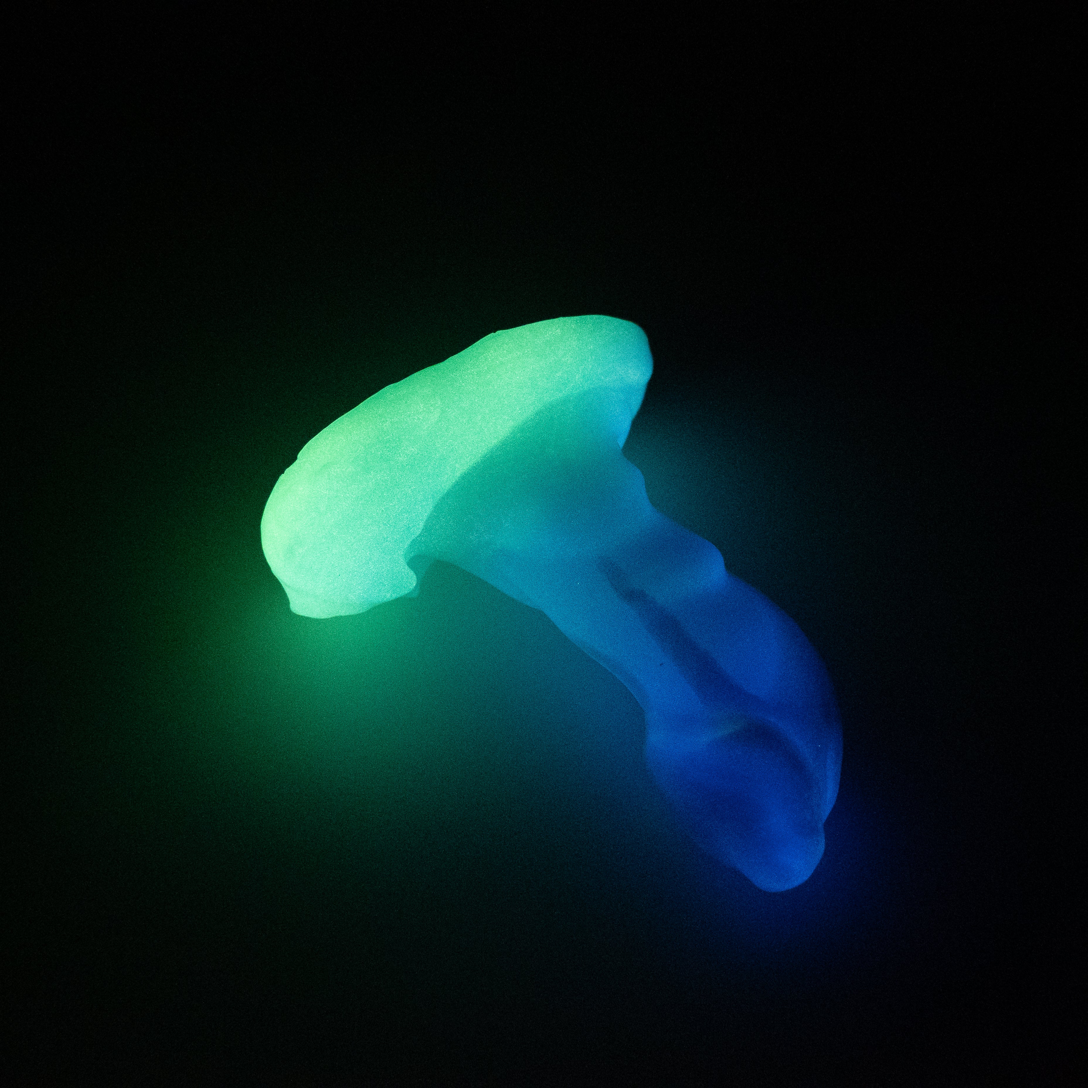 R1SJQ31 Oberon Mini 0030 UV GITD CS