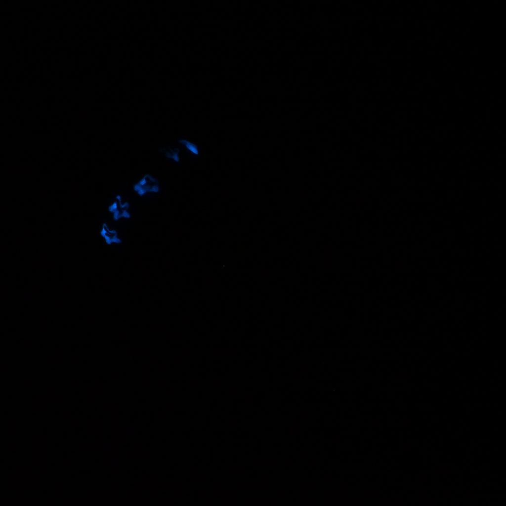 P2SKR69 Pluto Small 0030 UV GITD CS