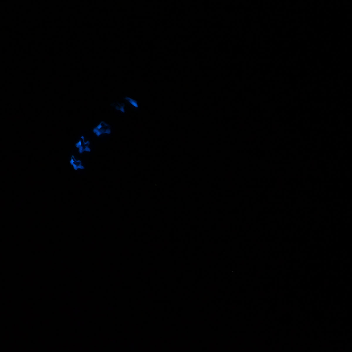 P2SKR69 Pluto Small 0030 UV GITD CS
