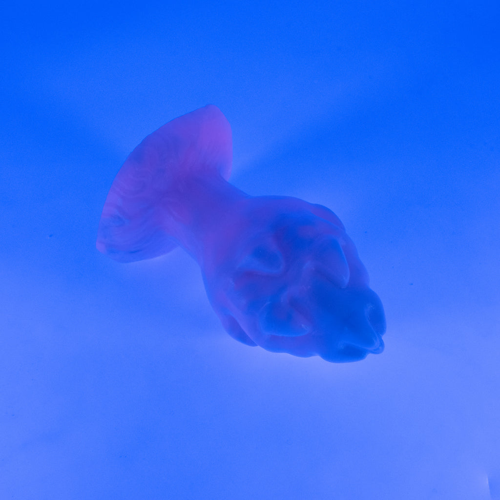 F3MJP84 Dragonfruit Plug Medium 0050 UV CS