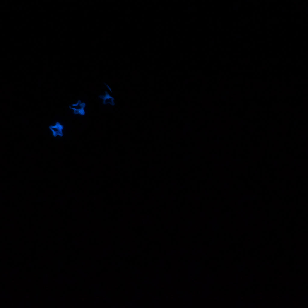 P3SKR71 Pluto Medium 0030 UV GITD CS