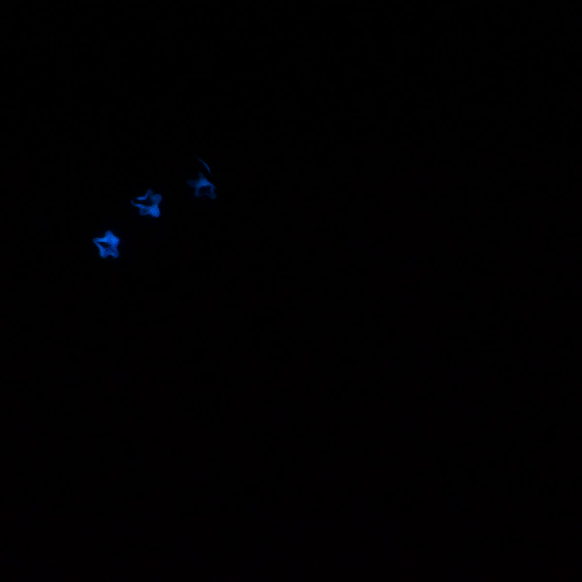 P3SKR71 Pluto Medium 0030 UV GITD CS