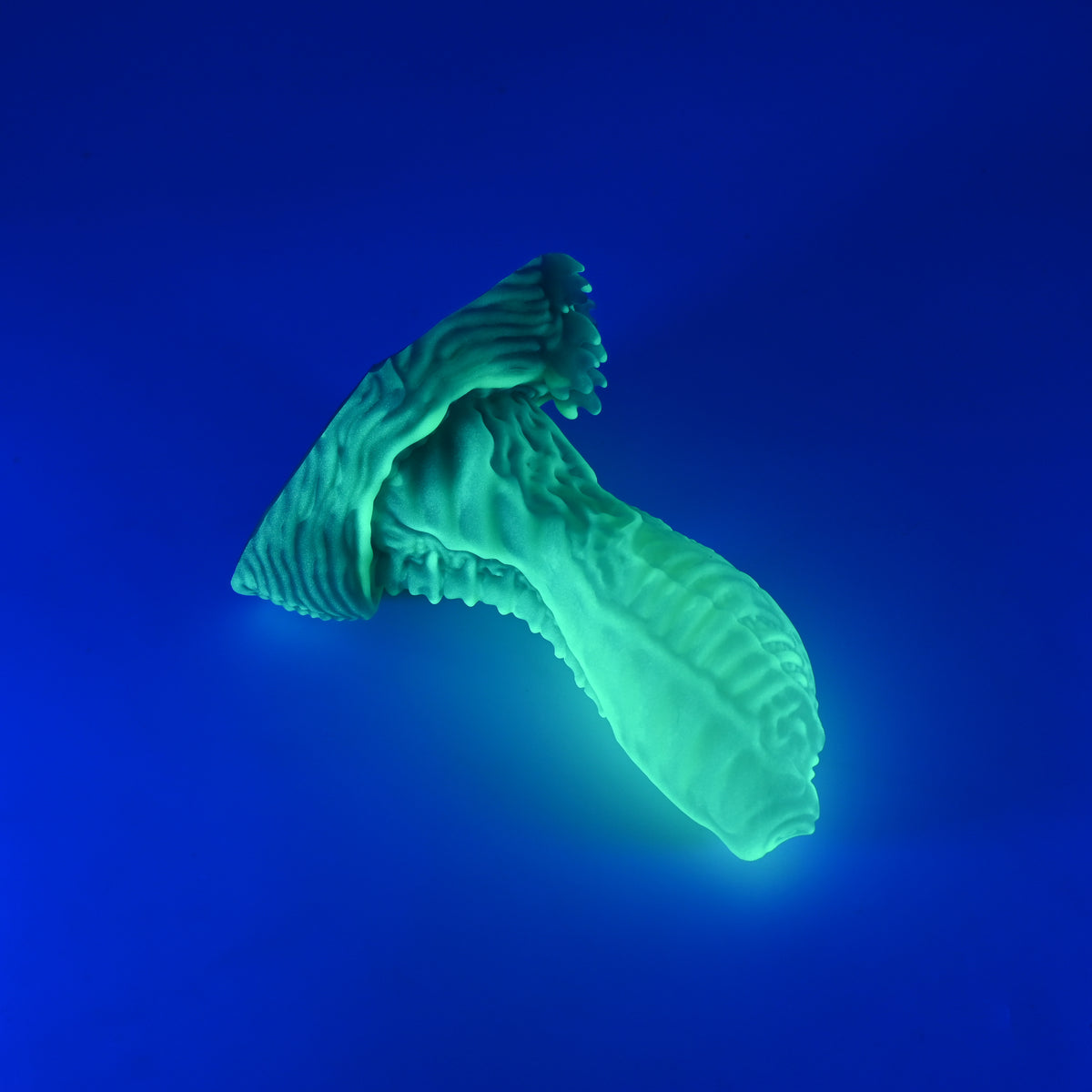 X2MKS07 Shin Small 0050 UV GITD CS