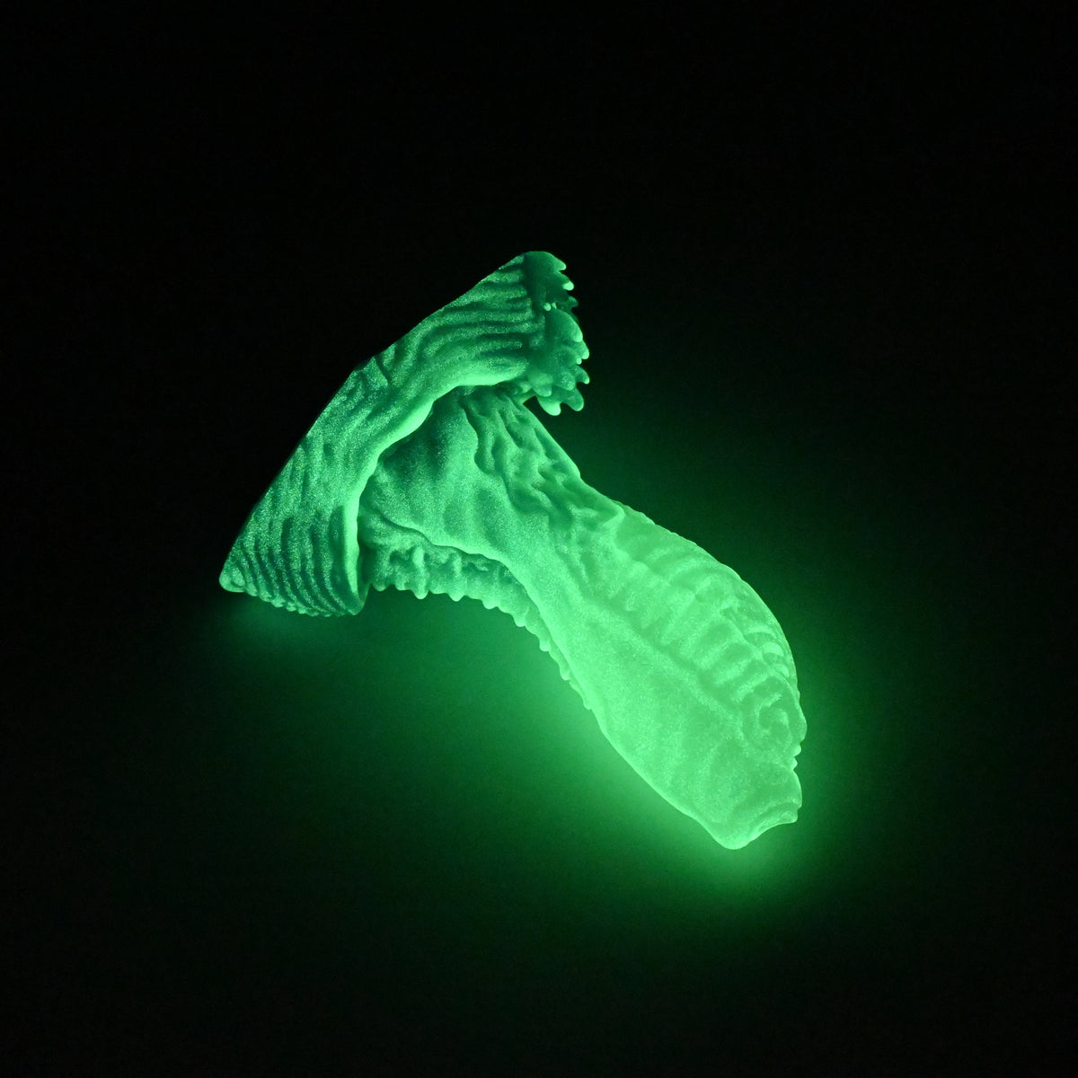 X2MKS07 Shin Small 0050 UV GITD CS