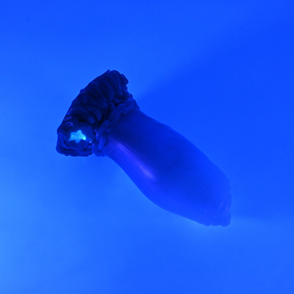 82SKQ82 Hue Small 0030 UV GITD CS