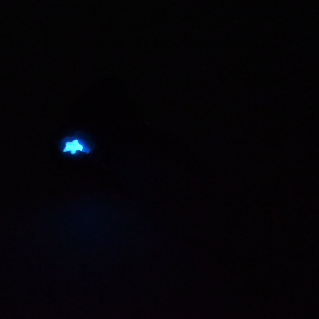82SKQ82 Hue Small 0030 UV GITD CS