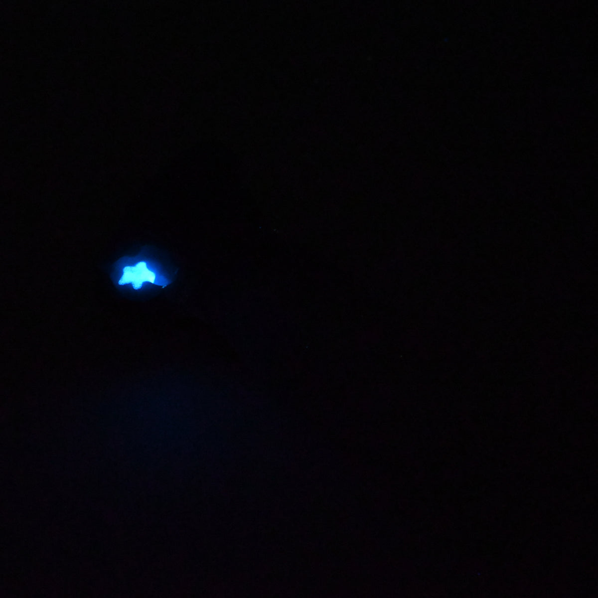 82SKQ82 Hue Small 0030 UV GITD CS