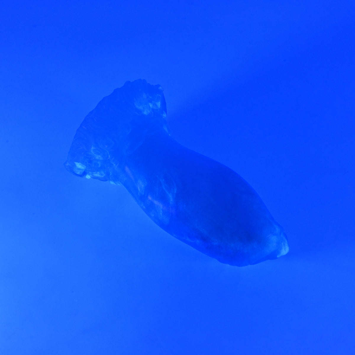 82TKQ83 Hue Small NC 0031 UV GITD CS