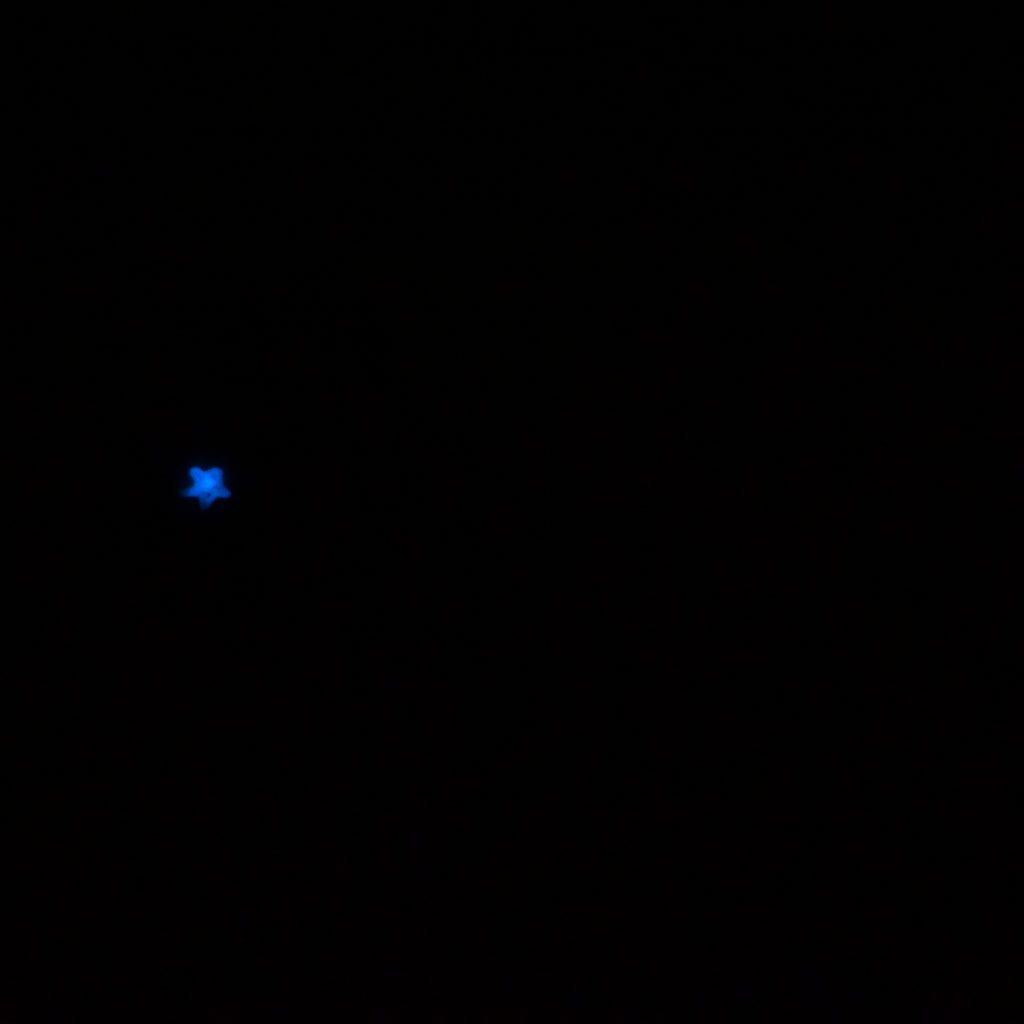 84SKQ89 Hue Large 0030 UV GITD CS