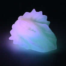 Load image into Gallery viewer, C2XGM51 Calypso Small 0020 UV GITD
