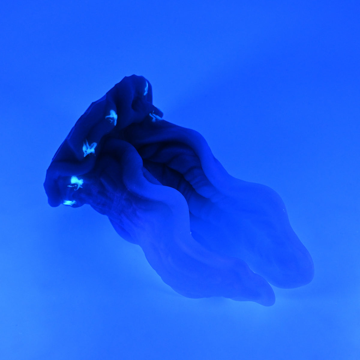 A4SKR08 Alara Large 0030 UV GITD CS