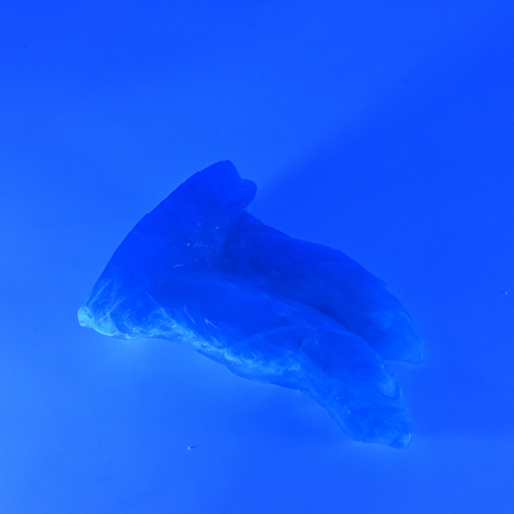 22TKQ39 Vasuki Small NC 0031 UV GITD CS