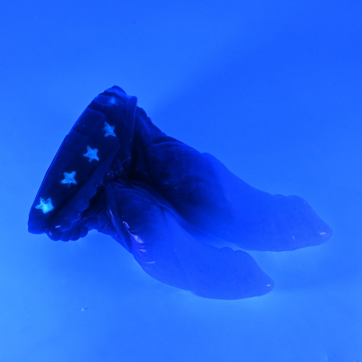 23SKQ43 Vasuki Medium 0030 UV GITD CS