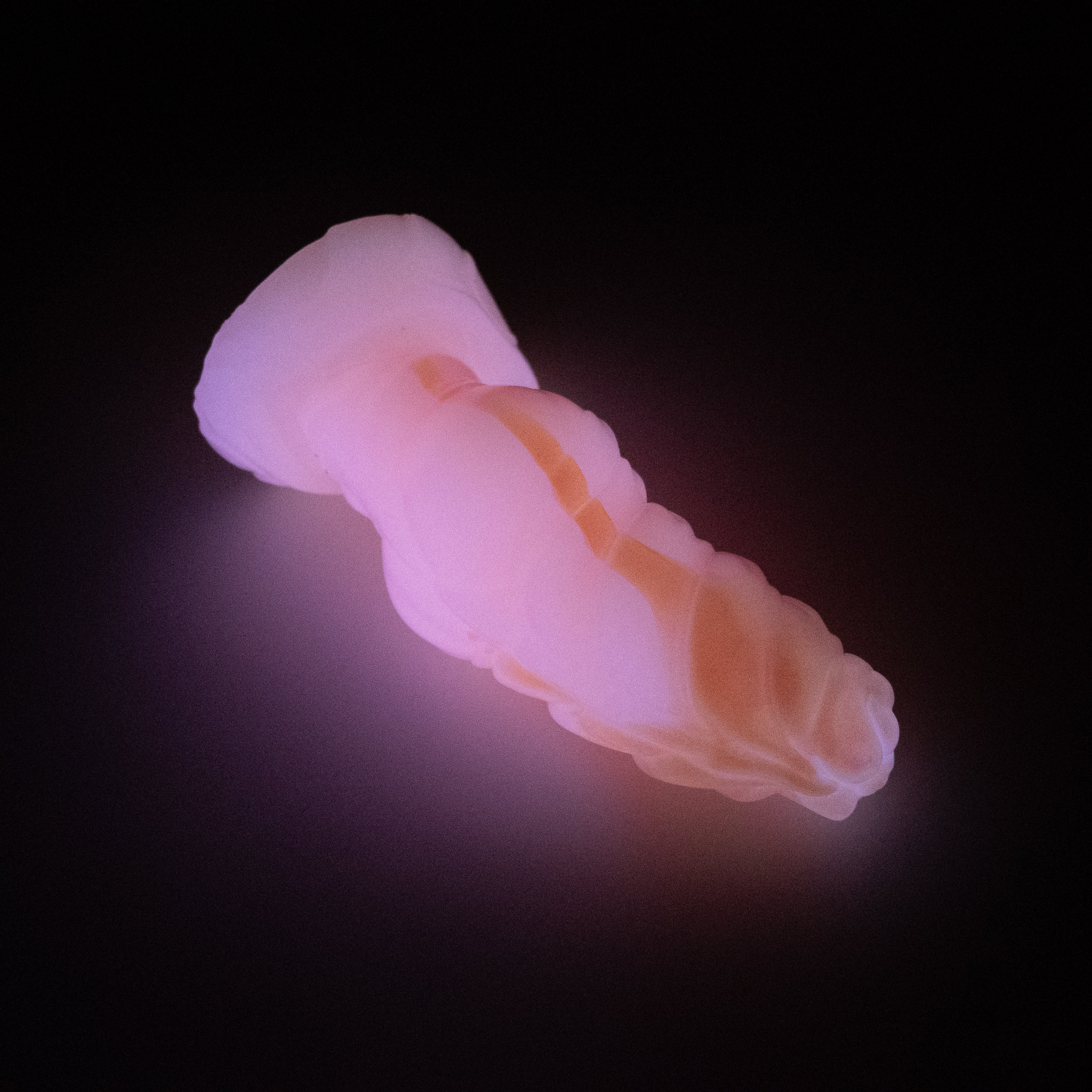 P2XJQ17 Pluto Small 0020 UV GITD CS