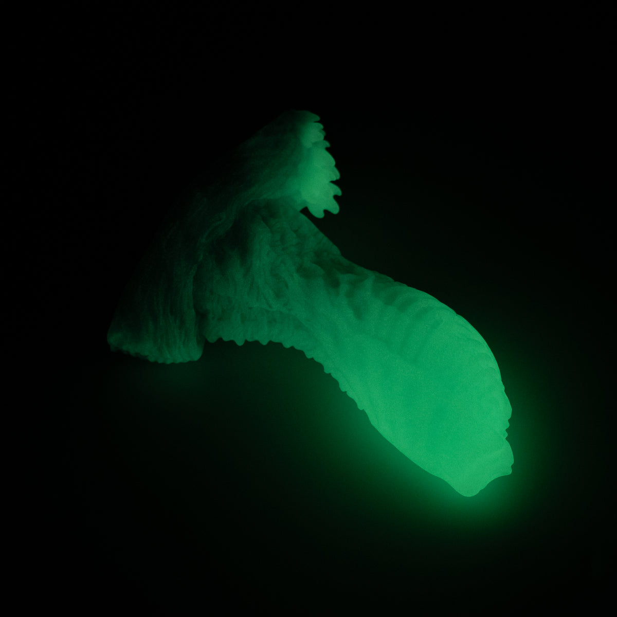 X2MJQ75 Shin Small 0050 UV GITD