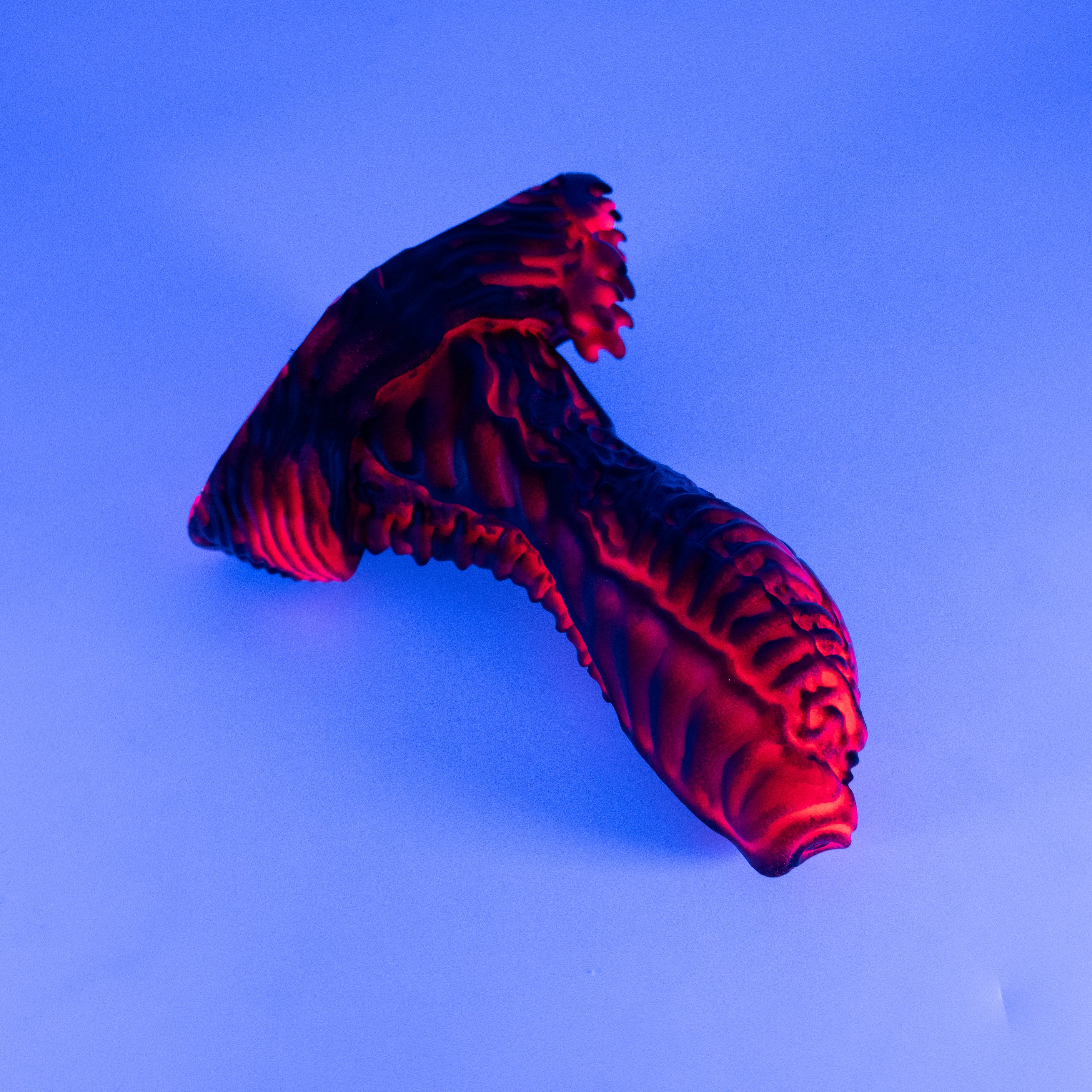 X2SJQ76 Shin Small 0030 UV GITD
