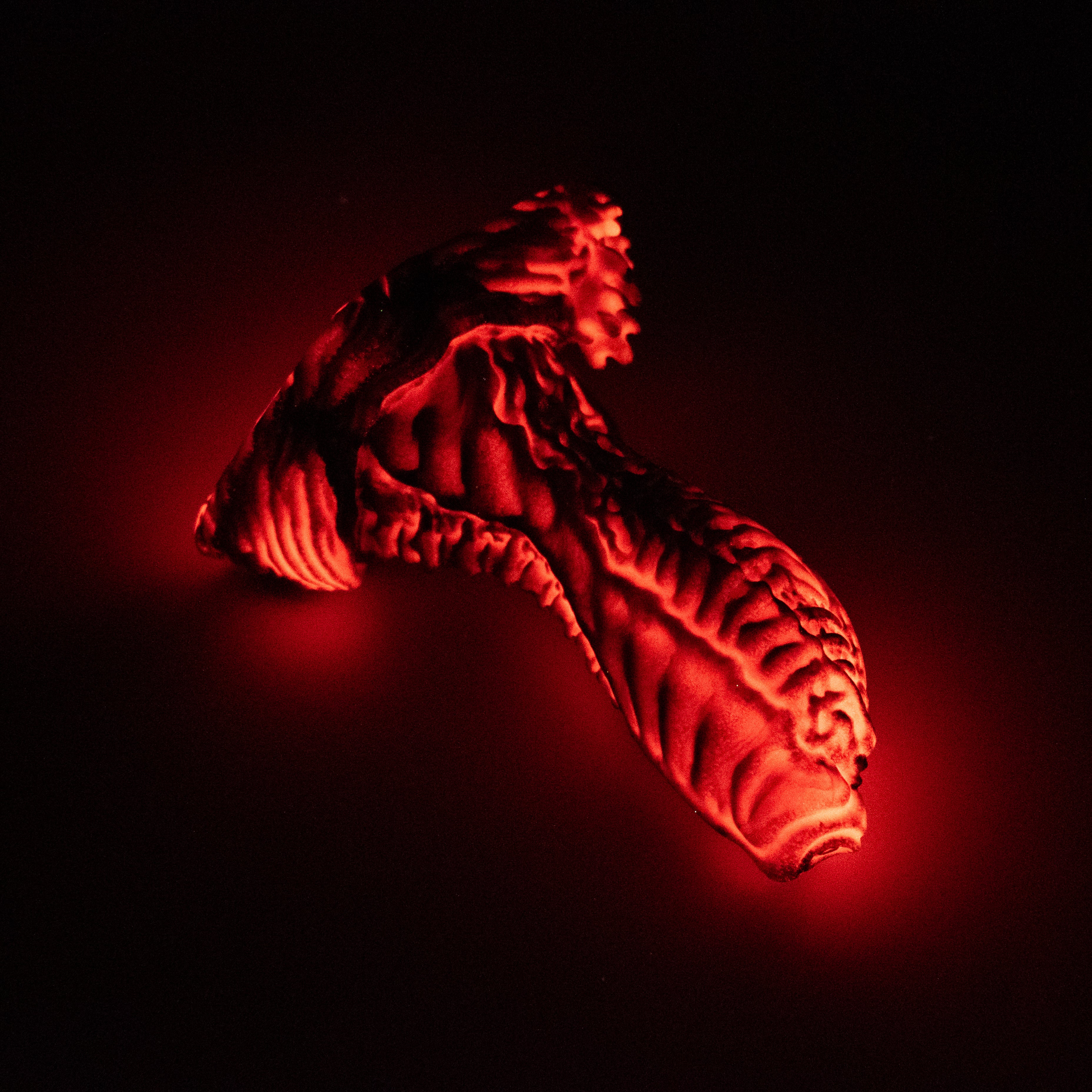 X2SJQ76 Shin Small 0030 UV GITD