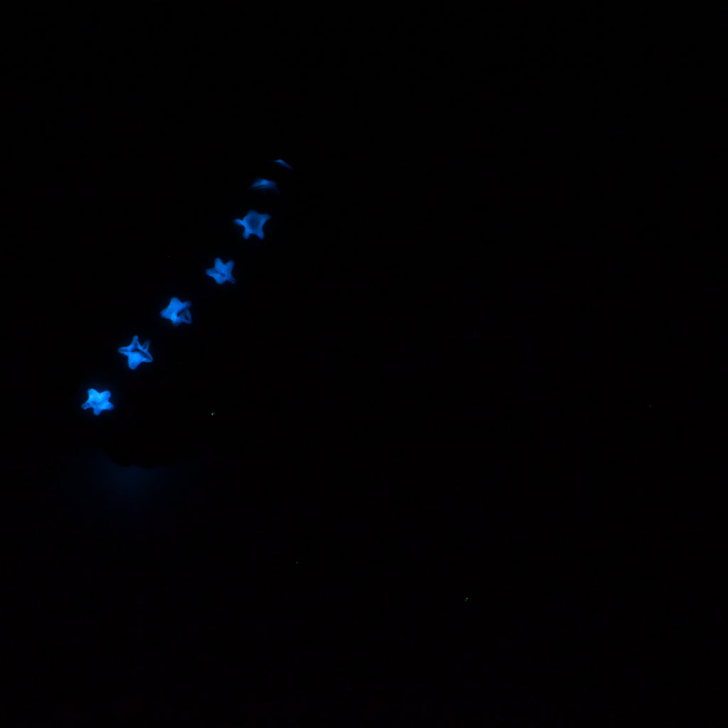24SKQ47 Vasuki Large 0030 UV GITD CS
