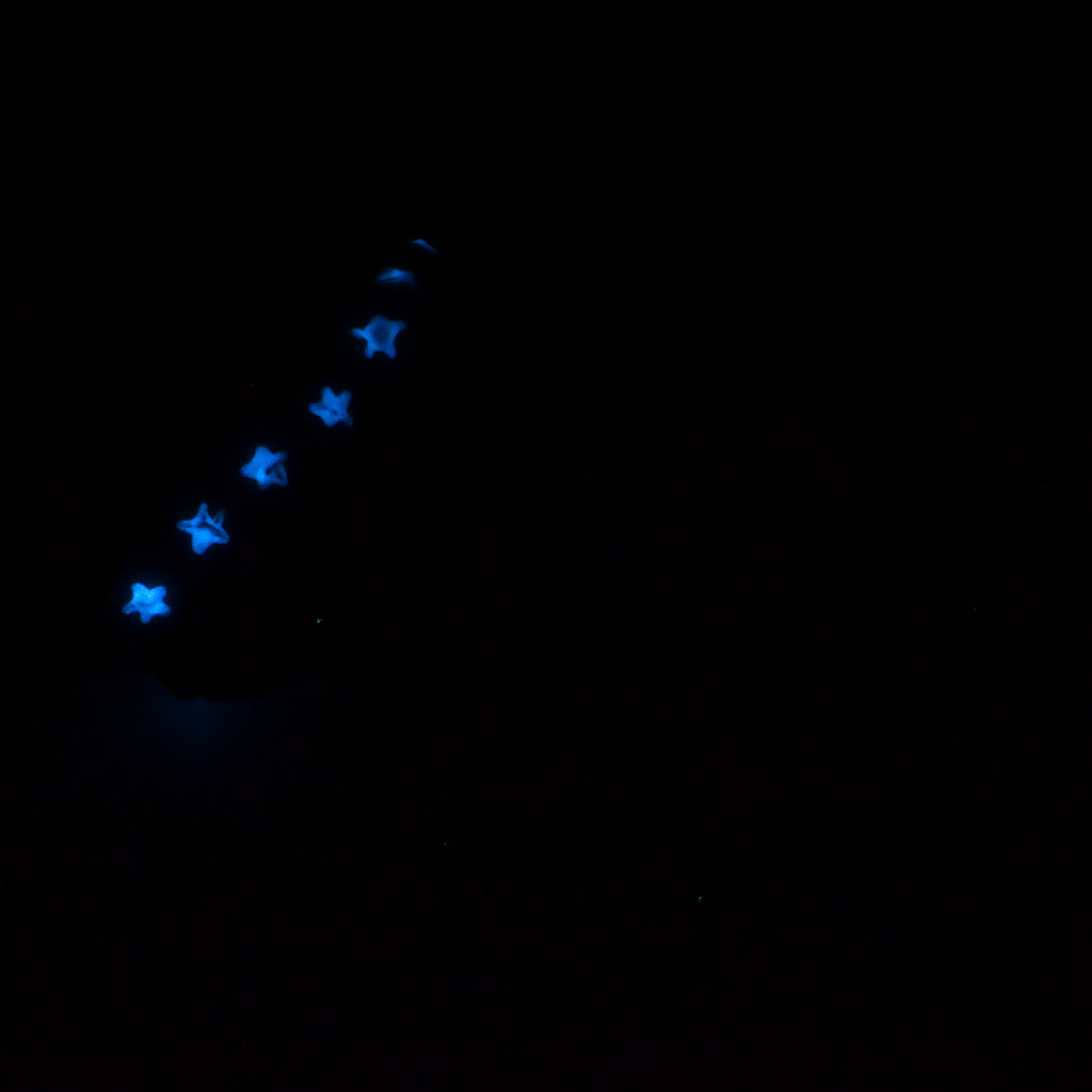 24SKQ47 Vasuki Large 0030 UV GITD CS