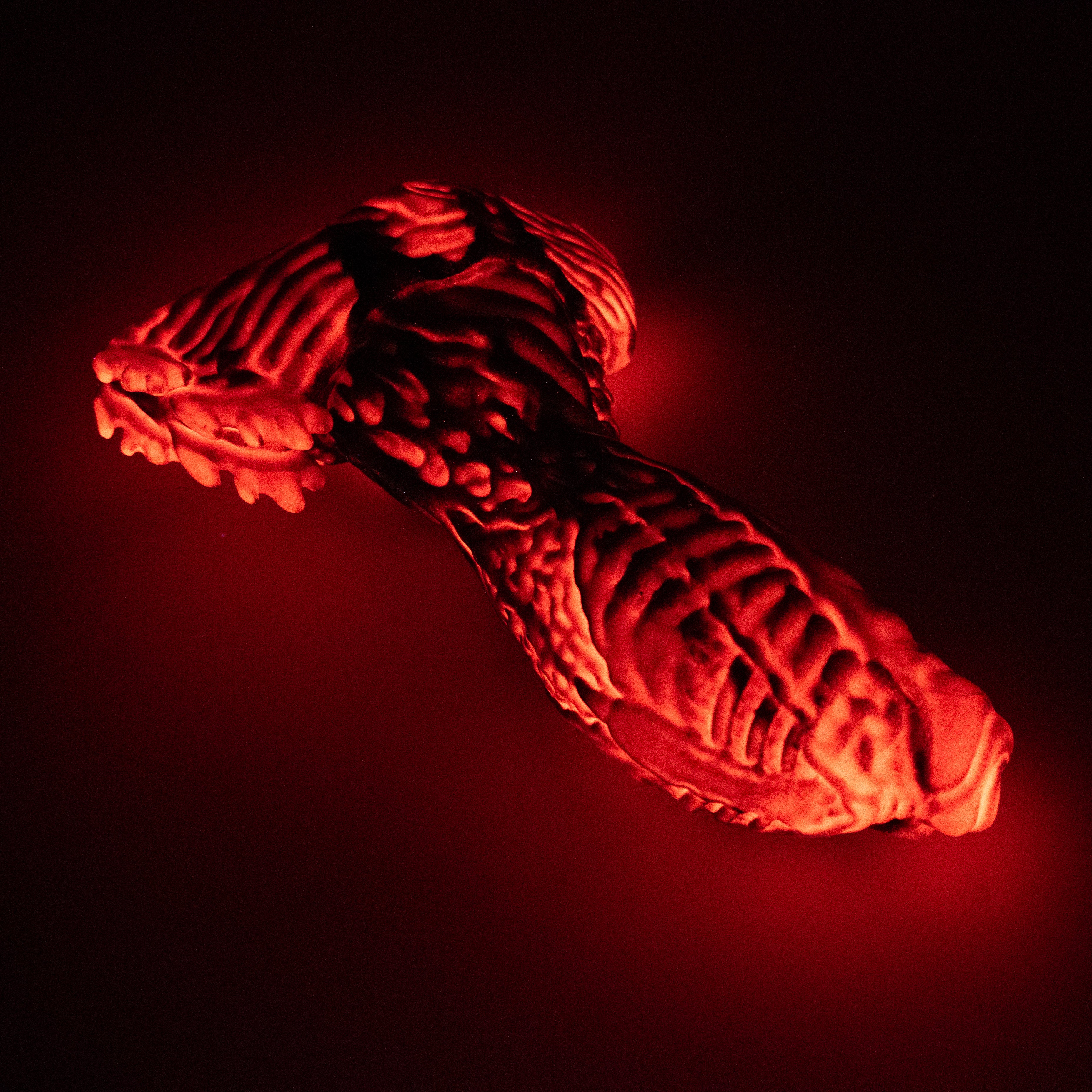 X4SJQ80 Shin Large 0030 UV GITD GOBLIN HOLE