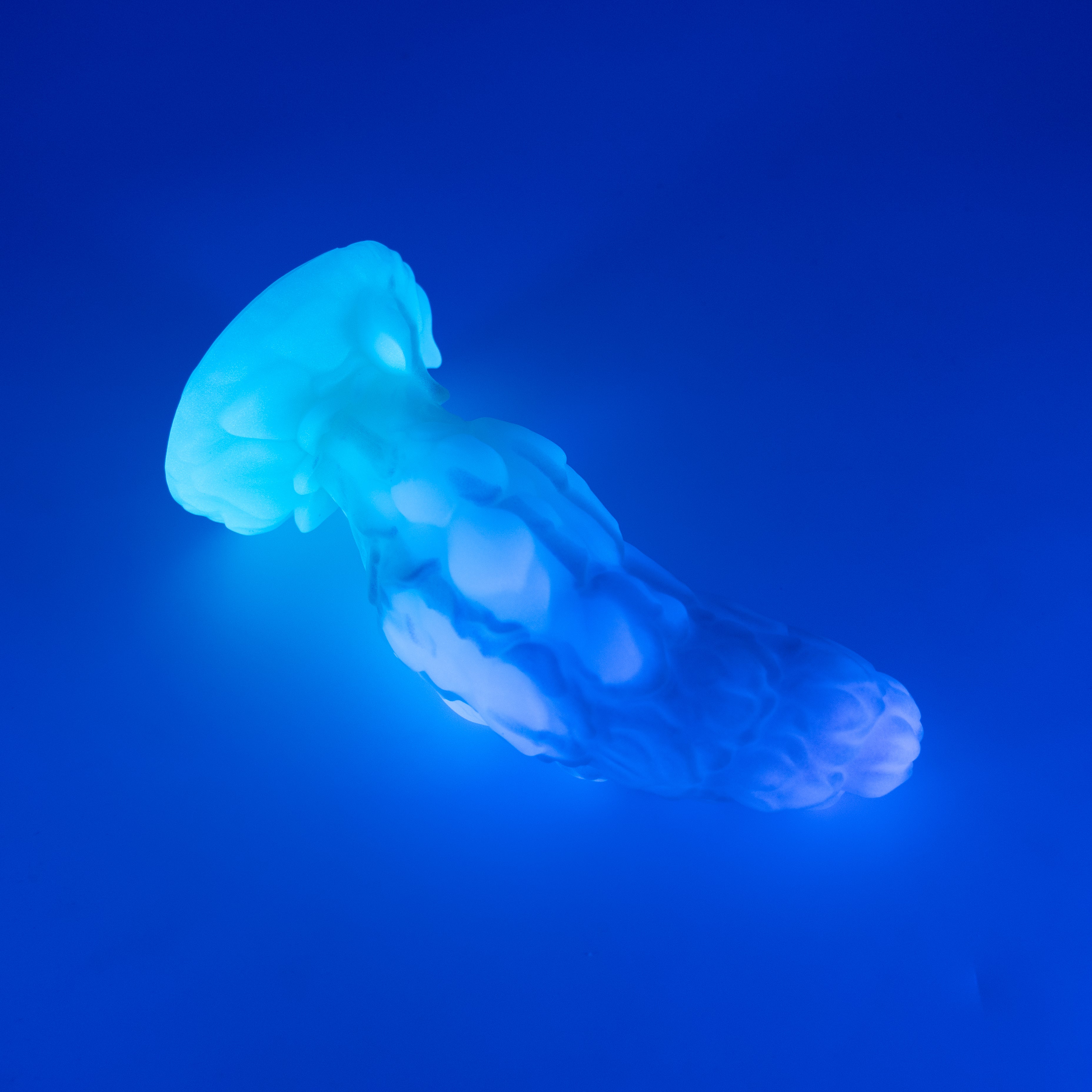 B2SJP72 Flora Small 0030 UV GITD CS